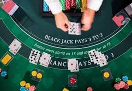 321bet